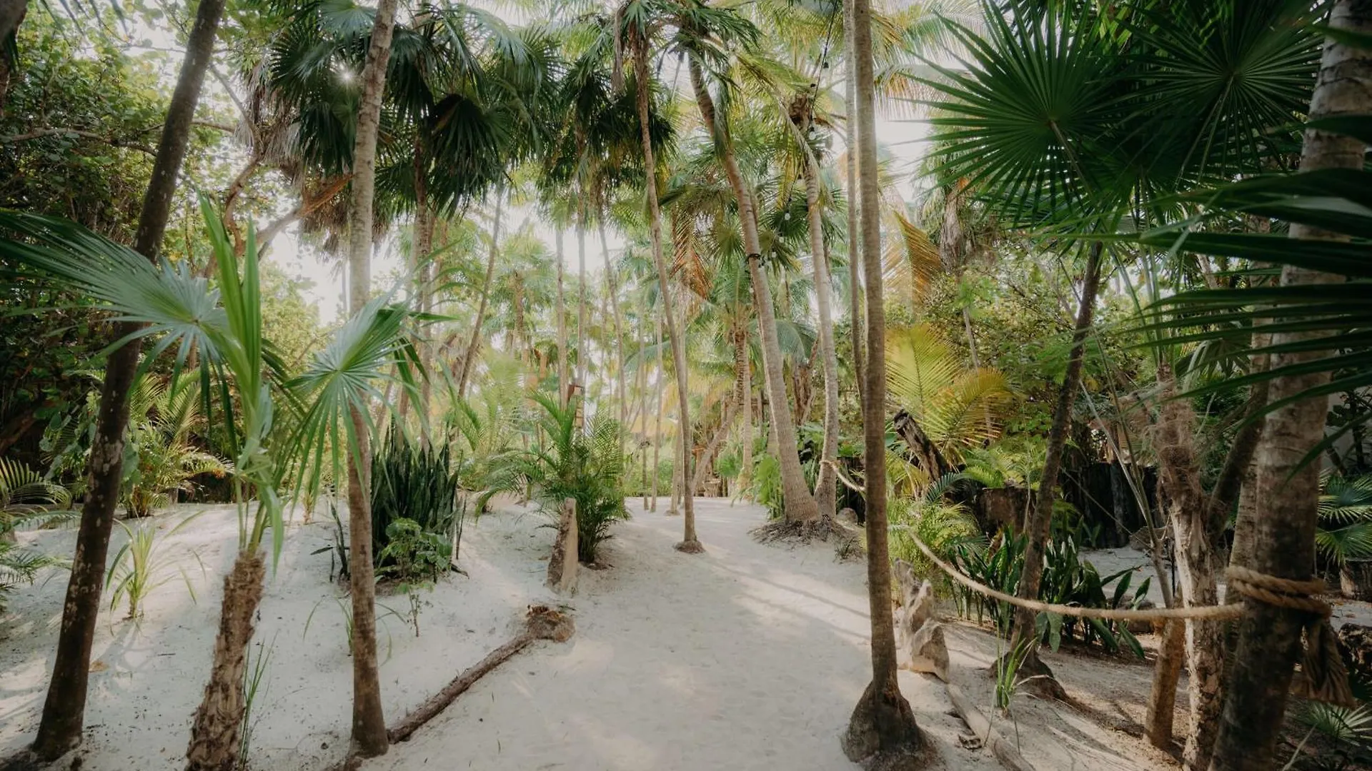 Premium Apartment With Pools, Gym, Yoga Deck & Bbq Grill In Gated Condominium Tulum