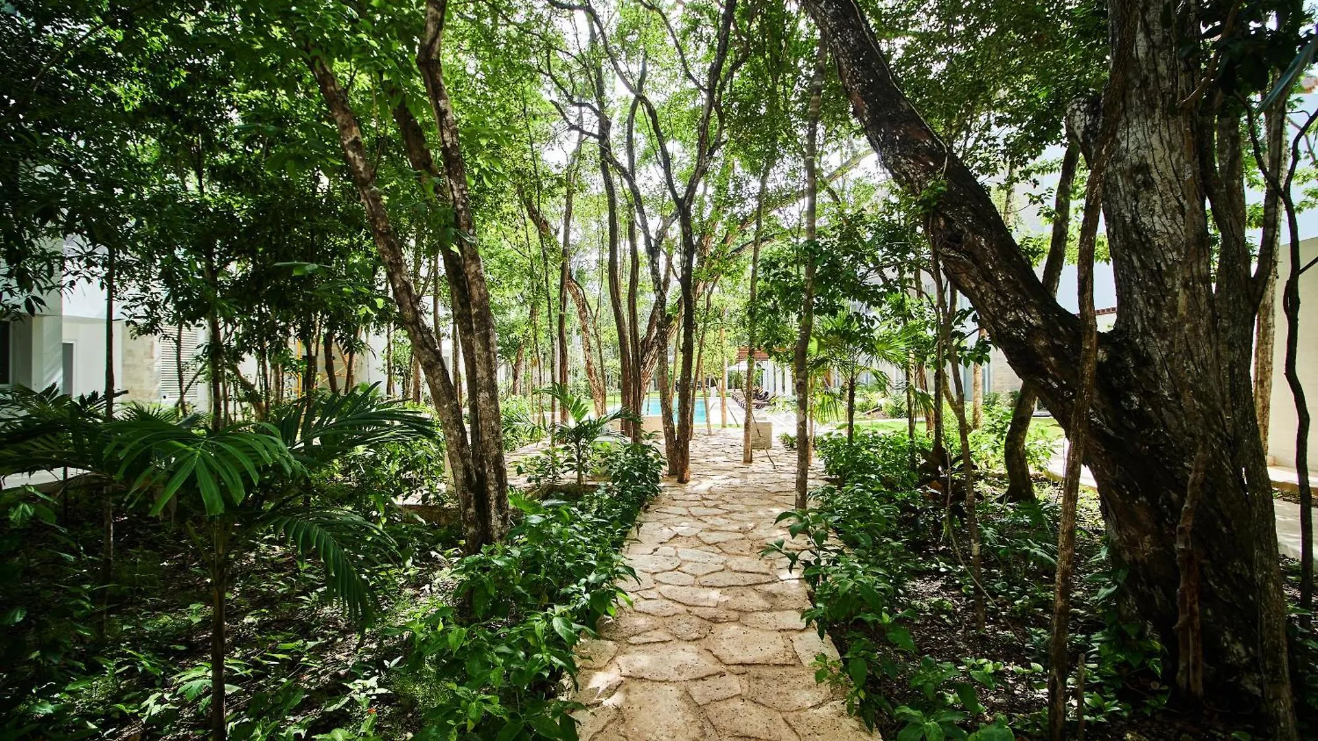 Premium Apartment With Pools, Gym, Yoga Deck & Bbq Grill In Gated Condominium Tulum